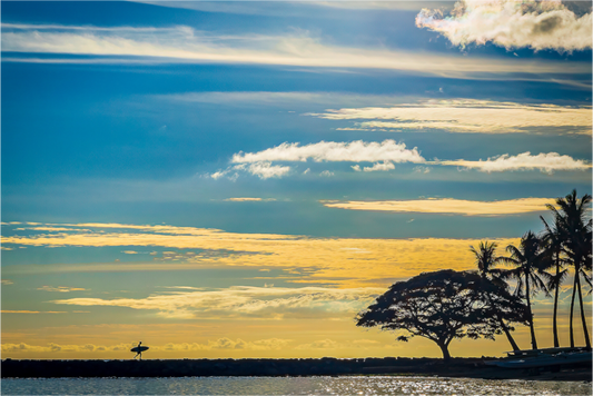 "Solitary Surfing" - Honolulu HI